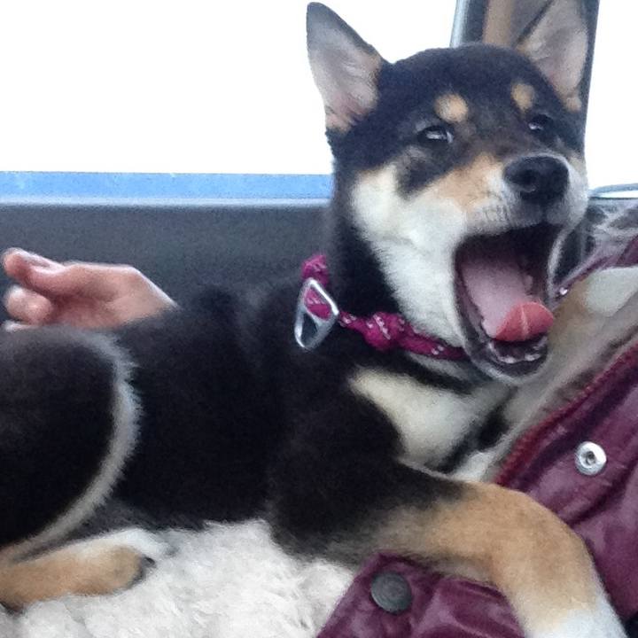 2556c5f9 9b4c 4191 9fb3 e1f19dad6c5a