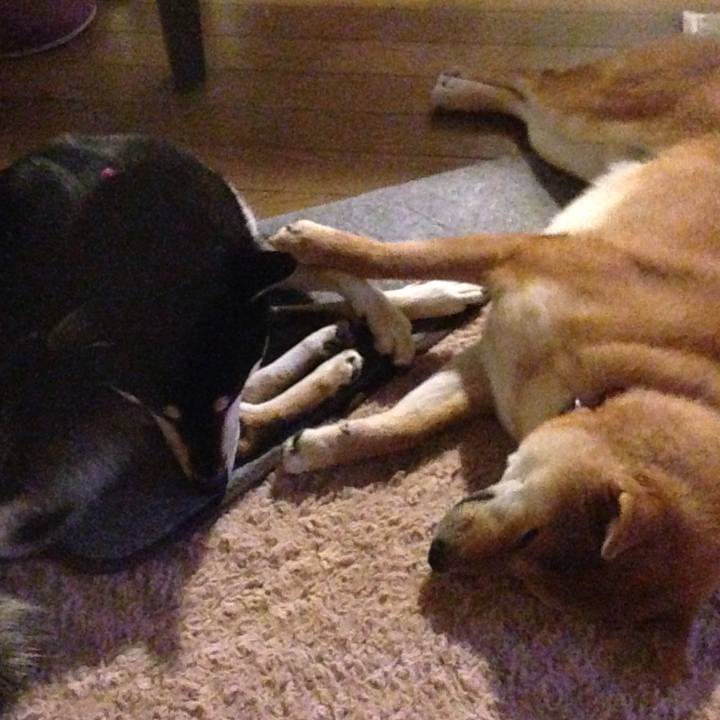 25573053 dfd2 405a 9e5f 0b3319d3d4ad