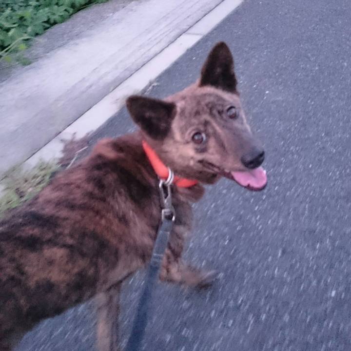 2557eb30 6f1b 43d7 a6bd bc2c169aa8a4