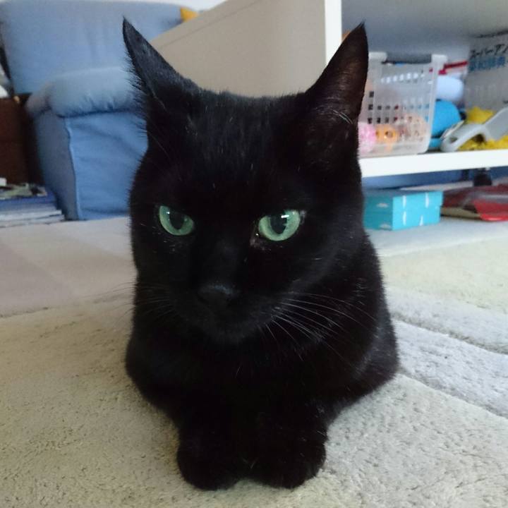 2559957e 6270 4d29 9bb5 64bf046dacba