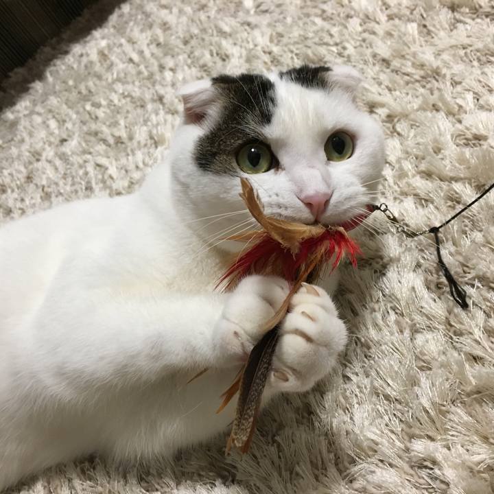 255a882f ed82 41eb a2ac 9729c2215252