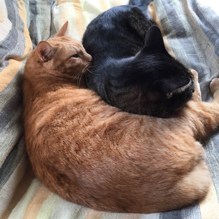 255a8944 914b 491a 85f9 5b6176683db1