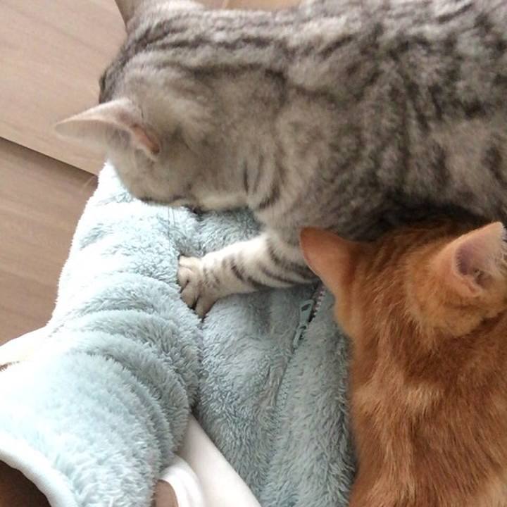 255ac6dd 09a4 480e 806c 5bfe586cb7ab