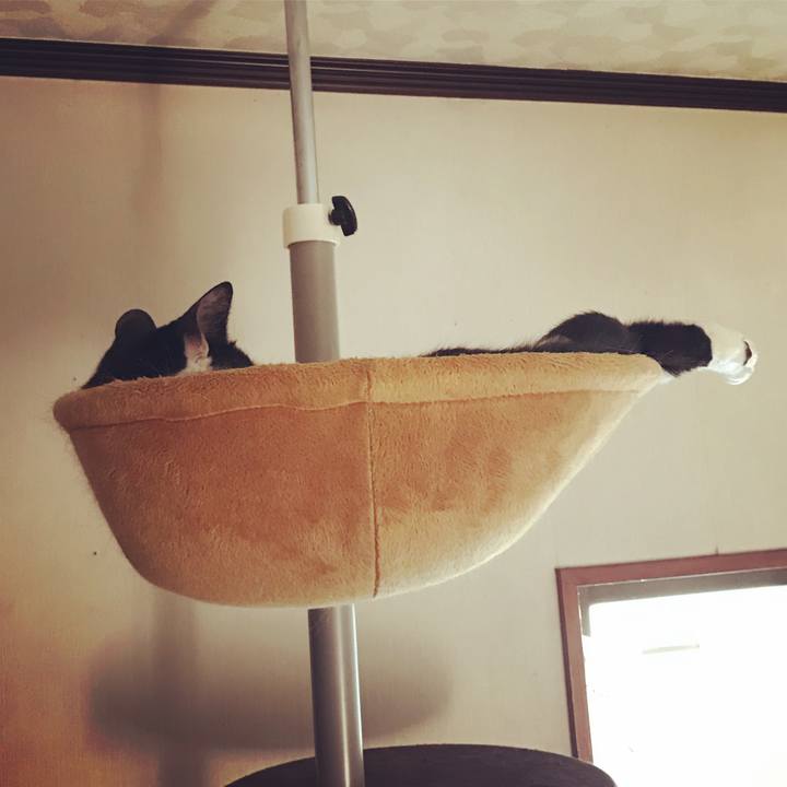 255acfe4 13ef 4722 96e7 39fffa8b2a47