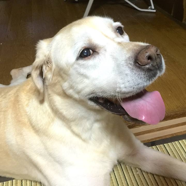 255bb865 dd89 4f3d ba96 9e2f1e69cce9