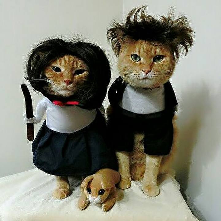 255bcfc3 27de 41c5 b403 38ace7bcde0b