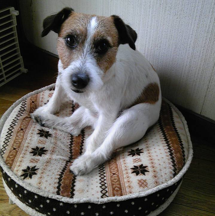 255c4bd4 818c 4c9c 8d26 d07e5865ff6d