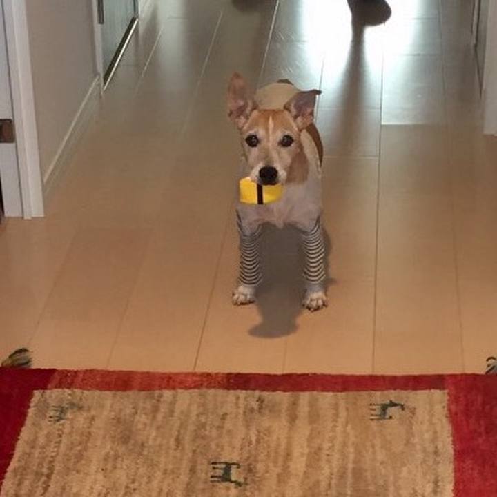 255c53fe ba13 4703 9eee cbfa60cc4188