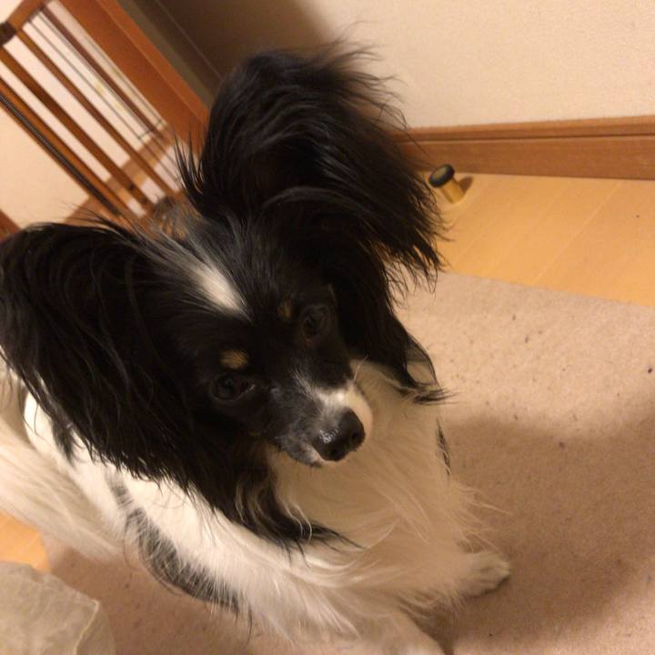 255c7b17 7d90 4a3d a4e3 25b794939d38