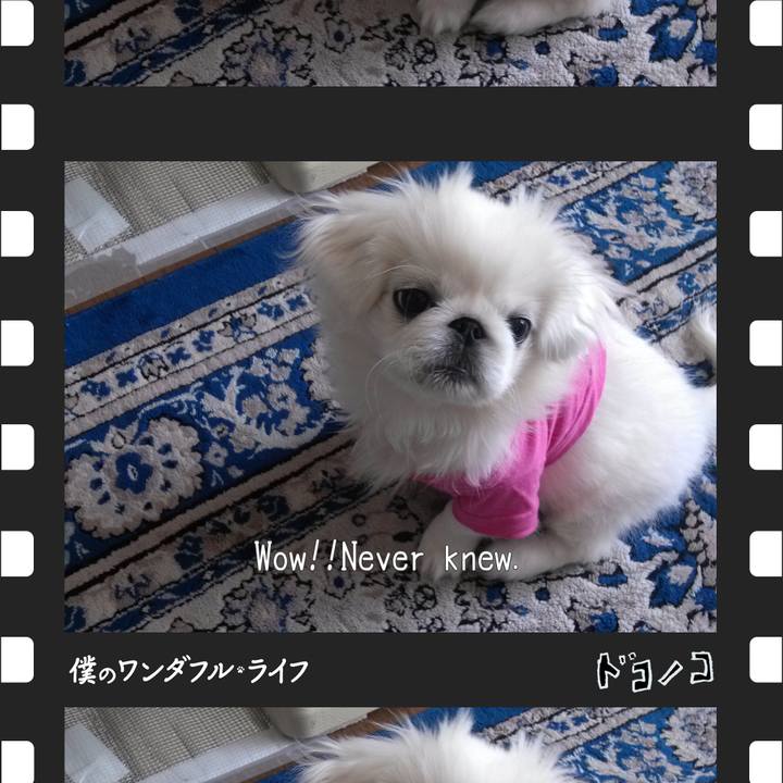 255c7bfe fab8 42ea bf47 7fda3d15c139