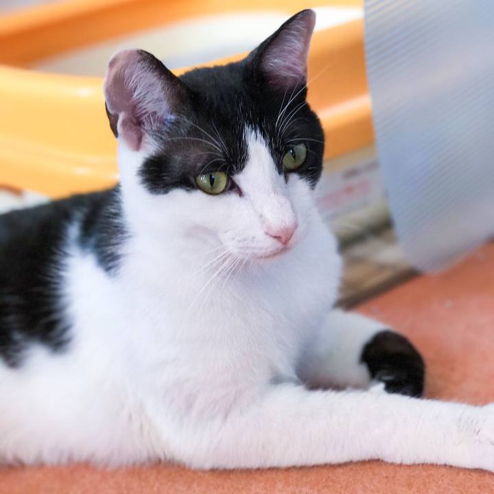 255d1d9a 5d3c 4297 81b6 ebd1bfcdbe2d