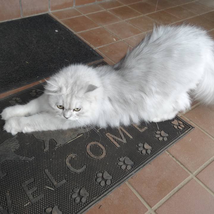 255da2e2 f325 495a b9be d7c1f01675a2