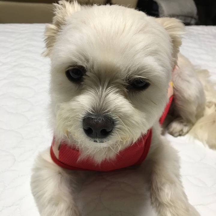 255df8f2 ffdf 45ab aebe 27e163807e0d