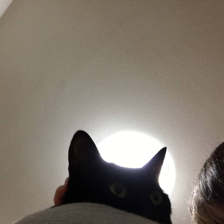 255e2ff7 6e6a 4973 9830 d6c6bca3f6db