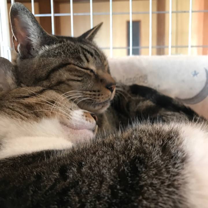 255e6ff8 9b80 4e9d 877a 031872dabddf