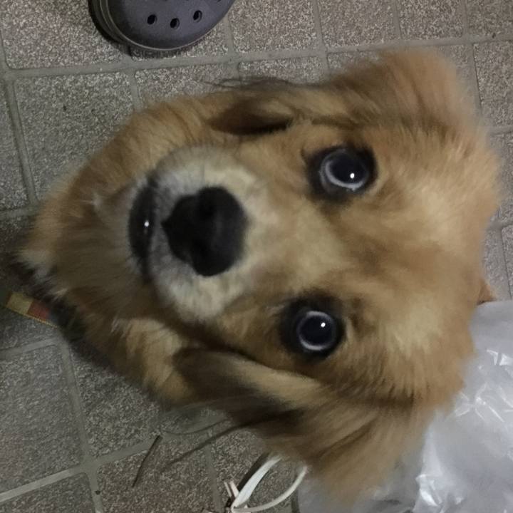 255e7458 ed0f 4b80 882f a4603802debe