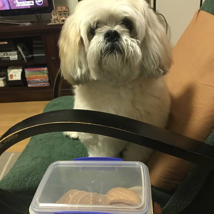 255e9cbd 9b25 49cc a743 92f60b7472e1