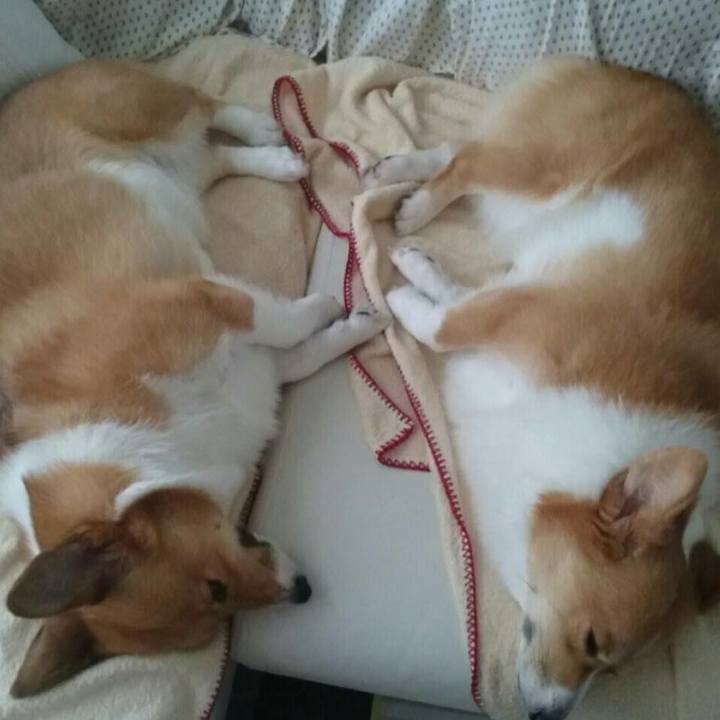 255f2ad7 a428 4268 8a0c af9dfafa3be4