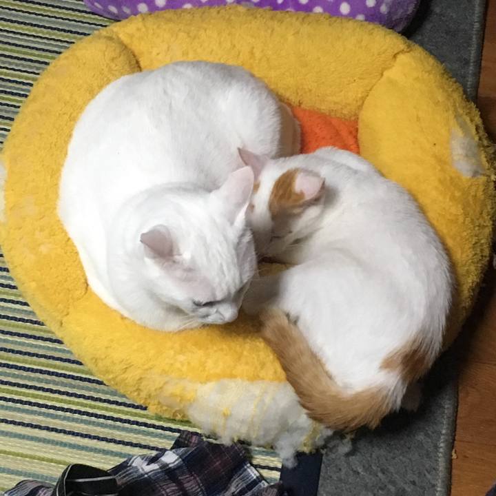 255f98fb 4e29 4103 aed7 c86cfe2c0eb8