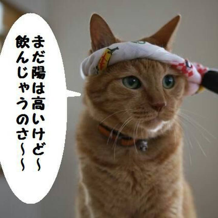 255fc9d6 5d04 4837 91d6 5afa29724f72