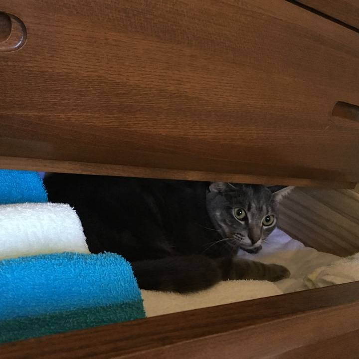 25611021 b84c 43bc ba70 645f9003d9c3