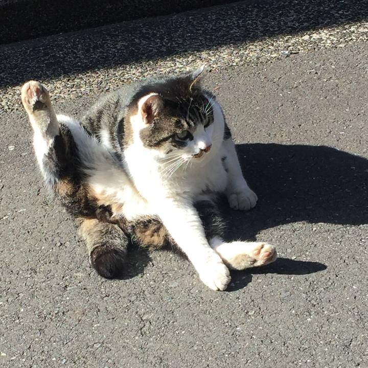 256122b9 0123 4ba8 bed1 61bc63186c62