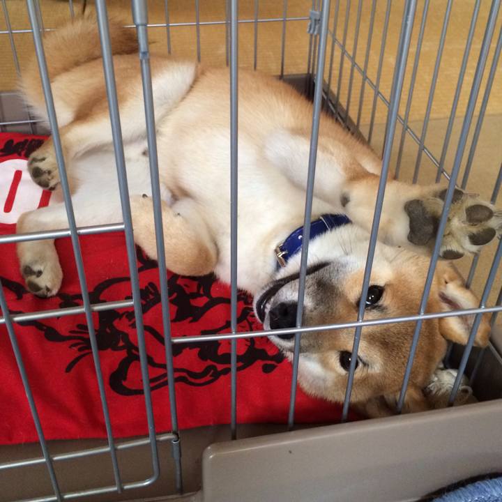 25612eda a278 4a40 8af2 891a0ce38c70