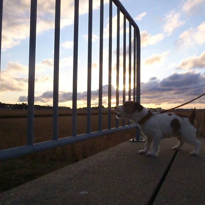 25614c0d d169 4d5f 905e 9650df0e2295