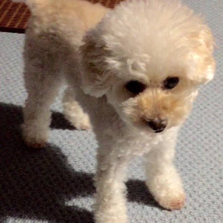 2561c0e5 852a 42d4 982b 6136a6fc012b