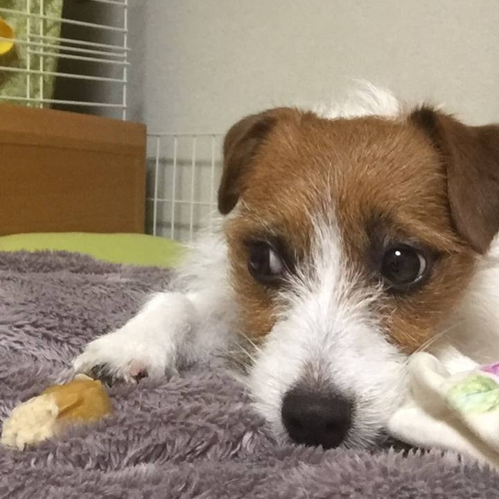 2561c5ab 8775 4370 80ee 38f2b443e726