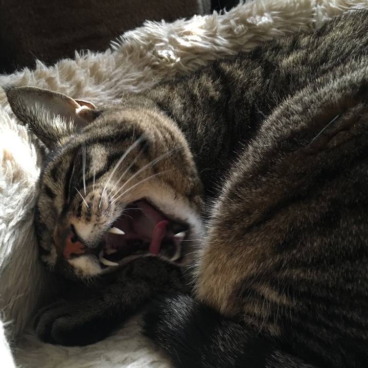 2561d0c7 2e30 4b11 94bb 43f0b19a32bd