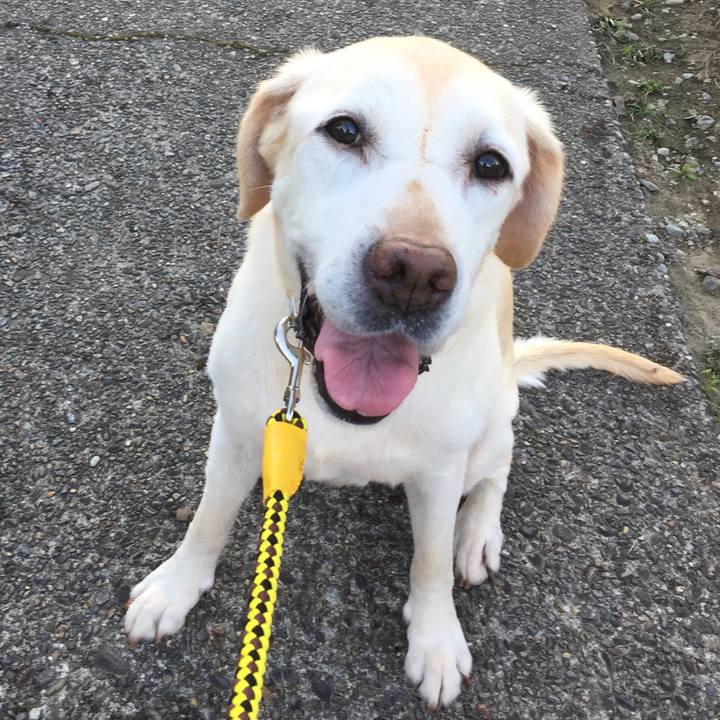 2563472c bdcf 4cb4 8ff1 5cd7447ad877