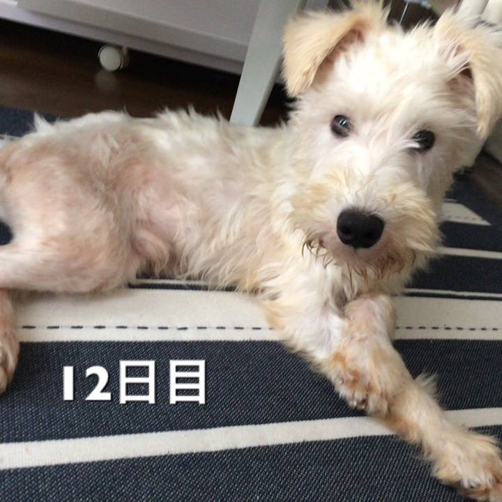 25635cf8 f087 4dcd 9317 f133d1857c92