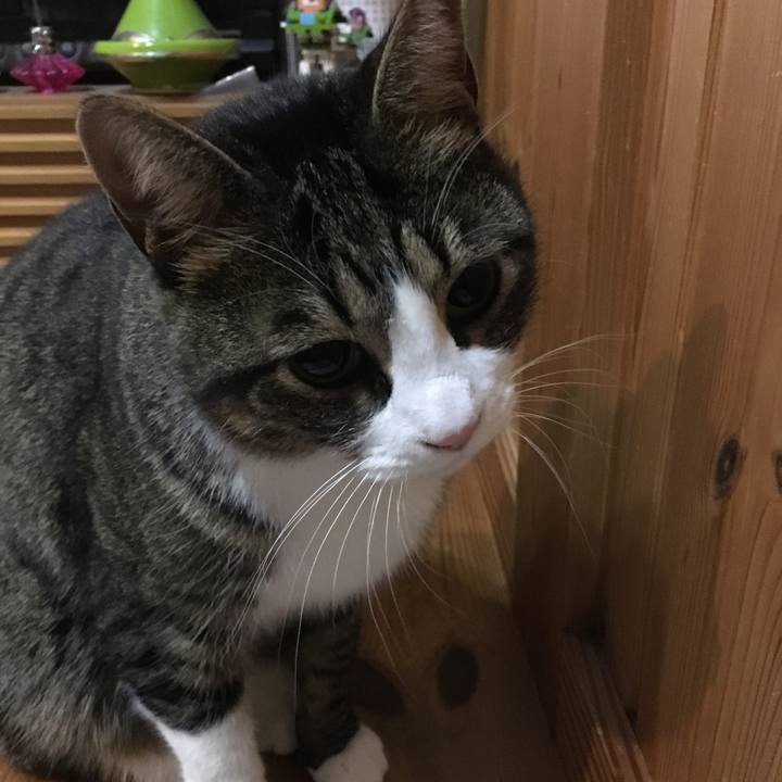 25635def d9a1 4ade 96a4 b01619ee5726