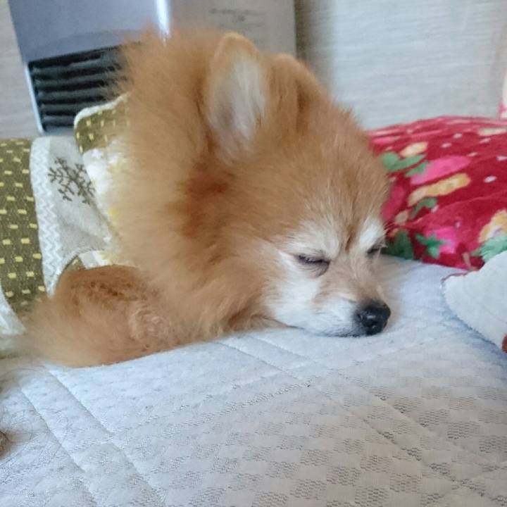 2563b3c5 594e 4207 8fd8 3ce3968df666