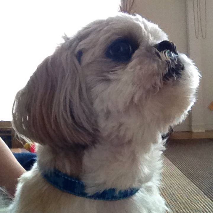 2564a4b9 df53 4550 9c25 baec098e9248