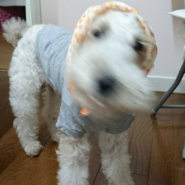 2564b3a7 ab86 4812 8b3e 679c629b7b92