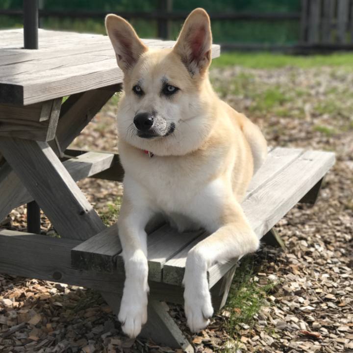 2564f423 17a6 4efa b185 679c2aeeb46e