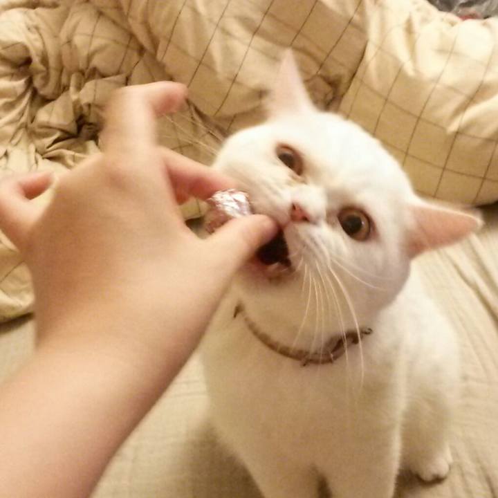 25656c0c 7930 44ee 8313 77305746a44e