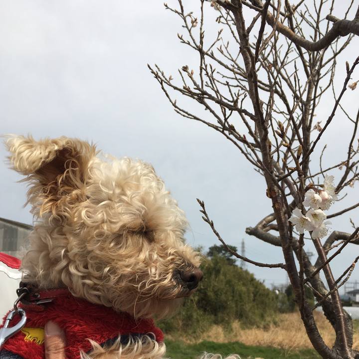 25657a25 2154 4f68 b5ca b53967de0bf3