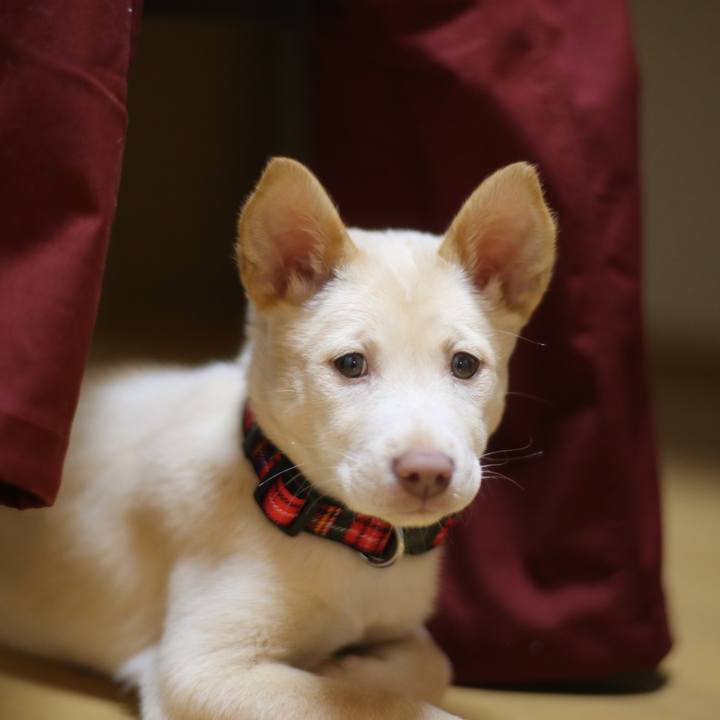 25669ab6 b9bb 411d 979a c21c909addfe