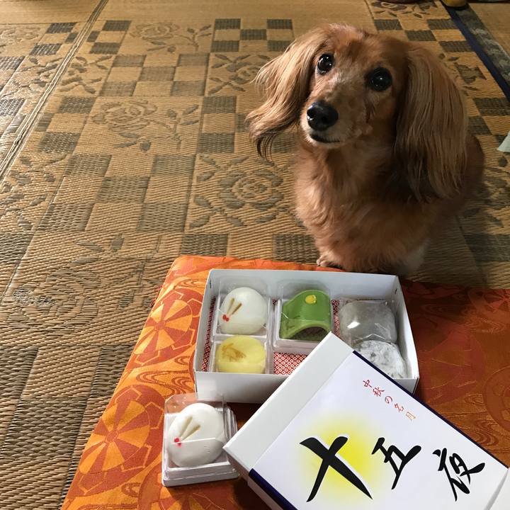 2566b67e ce3f 4186 8fa4 9a4e297ef92d