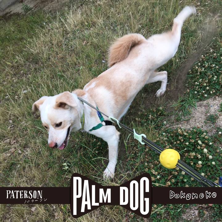 2566eaba a464 4d10 a99f 6880c29d5944