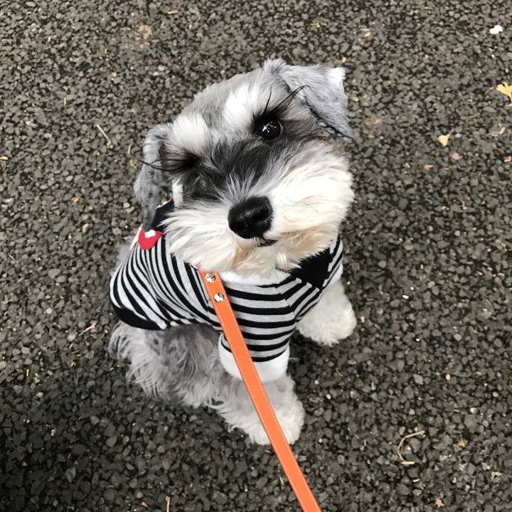 2567dca7 17b2 4a85 aada 5034b2b40a84