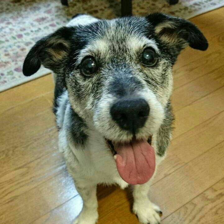 2567fdd5 28c8 44f7 9561 d07a03783332