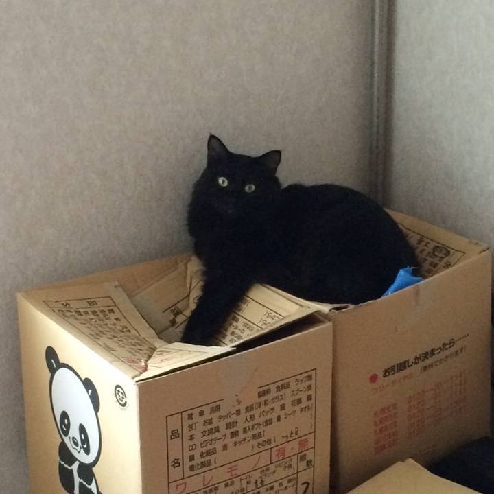 25682c6e 481f 4e7c ba2e 650a436ac7ca