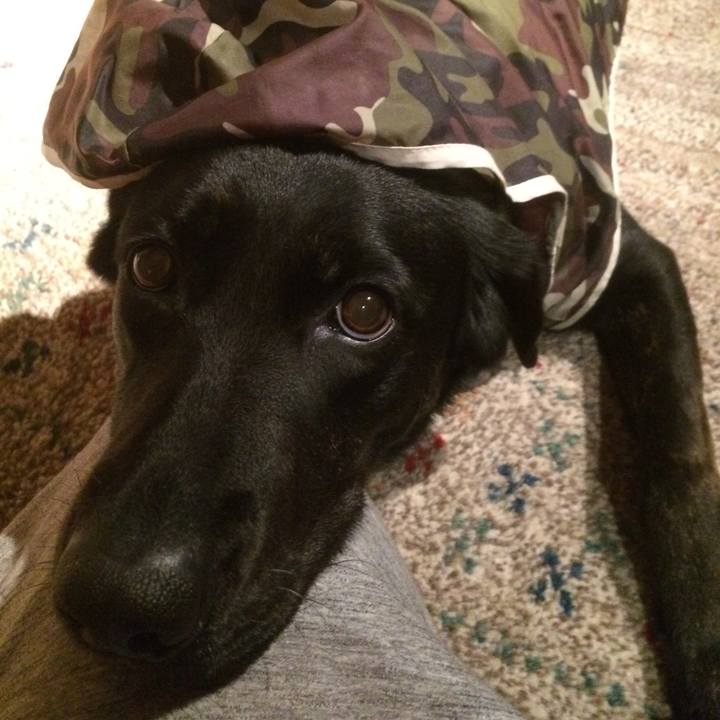 256849b2 673d 414c a767 2ee1f509179c