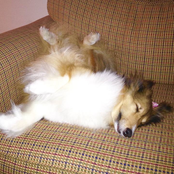 2568845e 75c1 46fa 98f8 da4d60a39f92