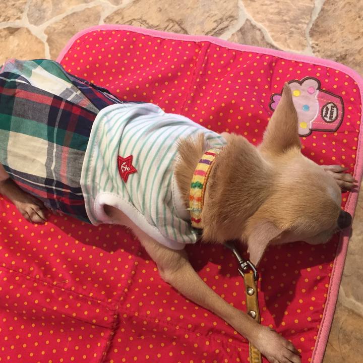 2568a96f fa96 42ad 9fe8 c212a5bfc65e