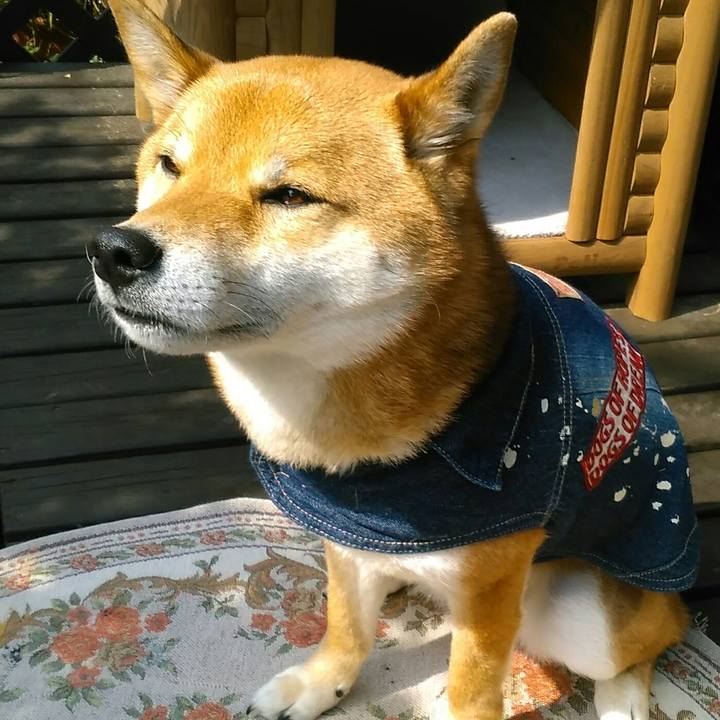 2568df63 8a16 4e3a bc9a 7ff21901ab0e